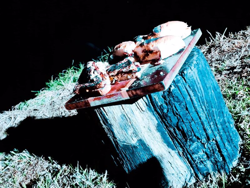 Calabash Haven - Image 5