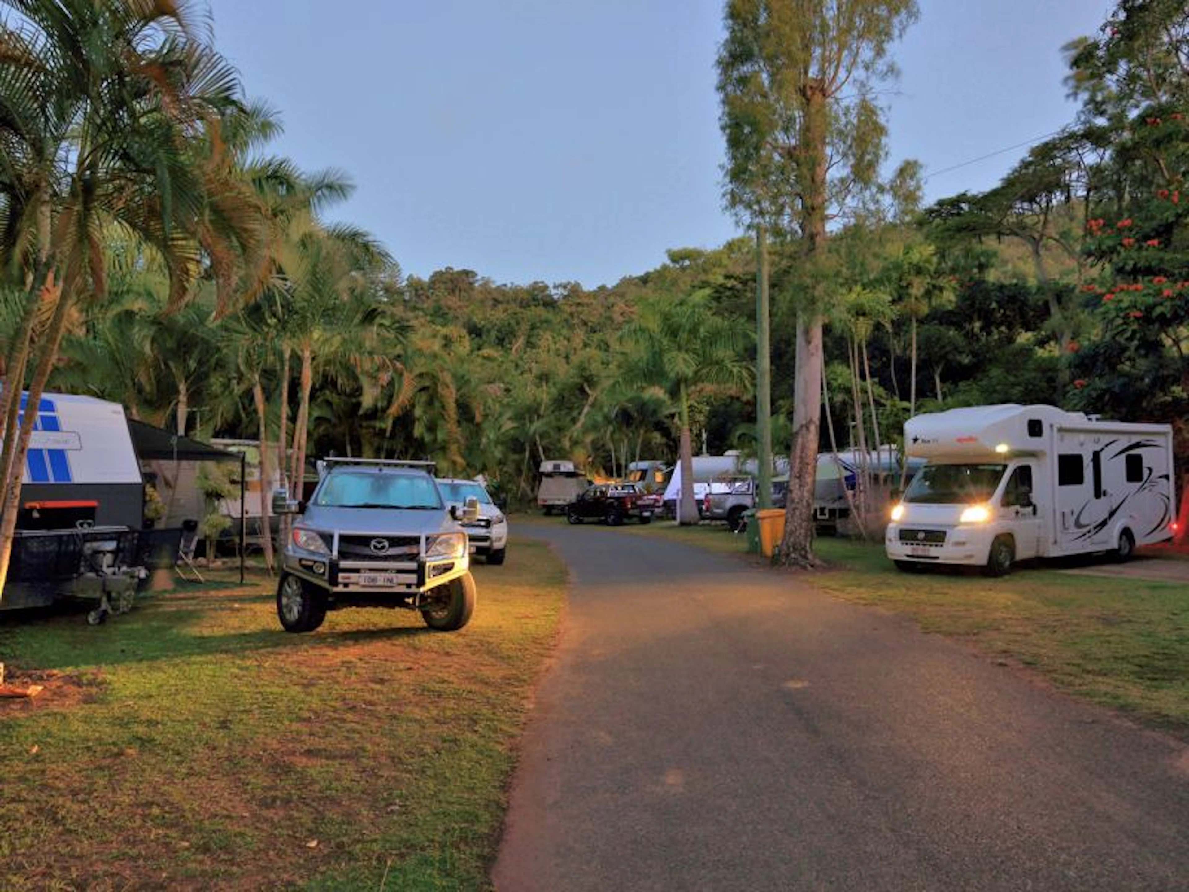 Cape Hillsborough Nature Tourist Park - Image 3