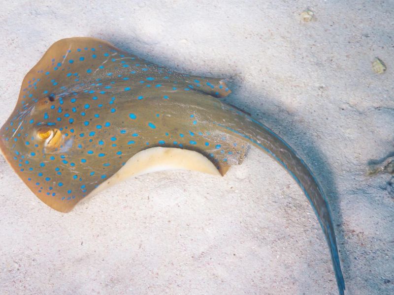 Cape Immersion Tours