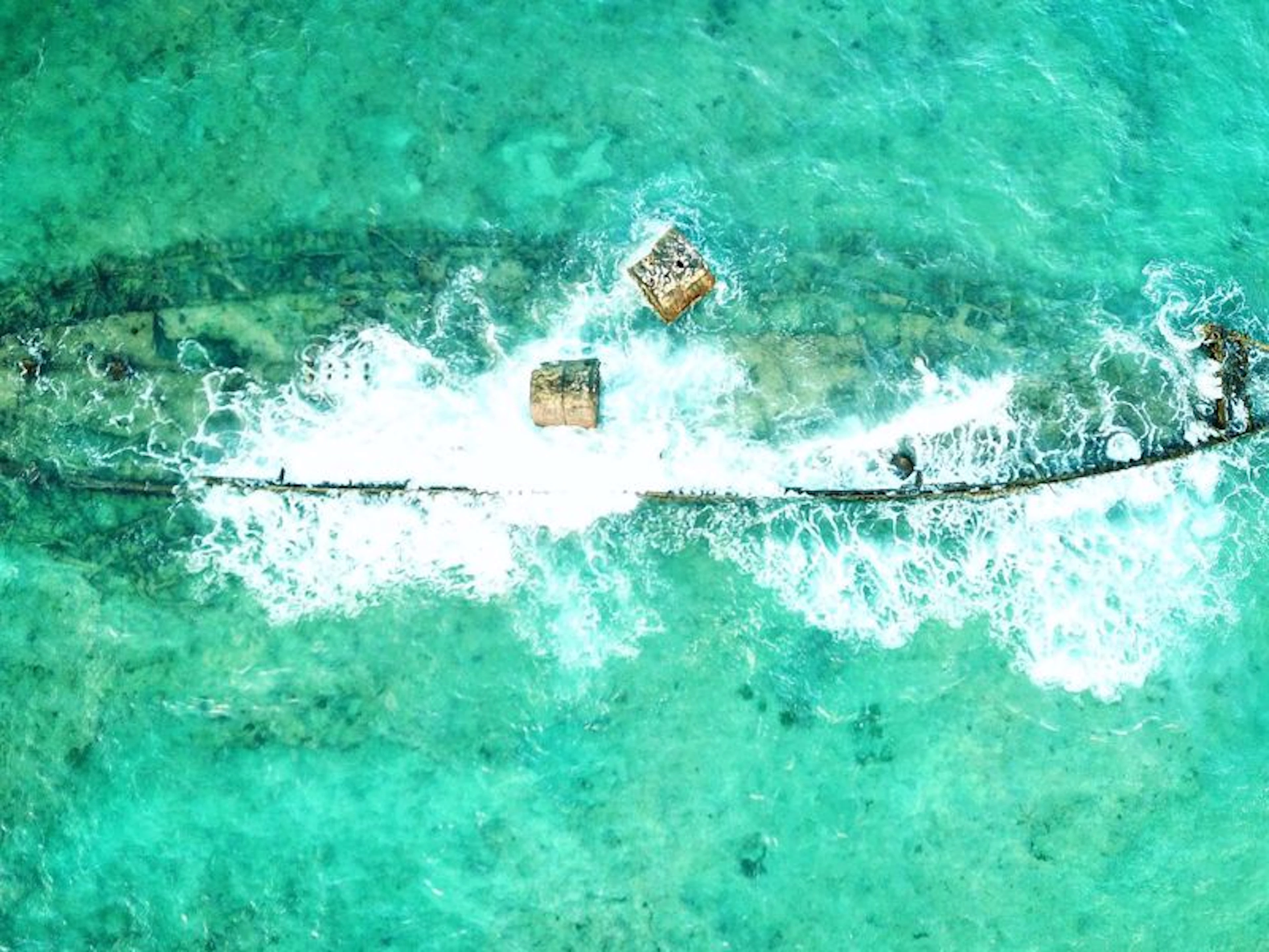 Cape Immersion Tours - Image 2