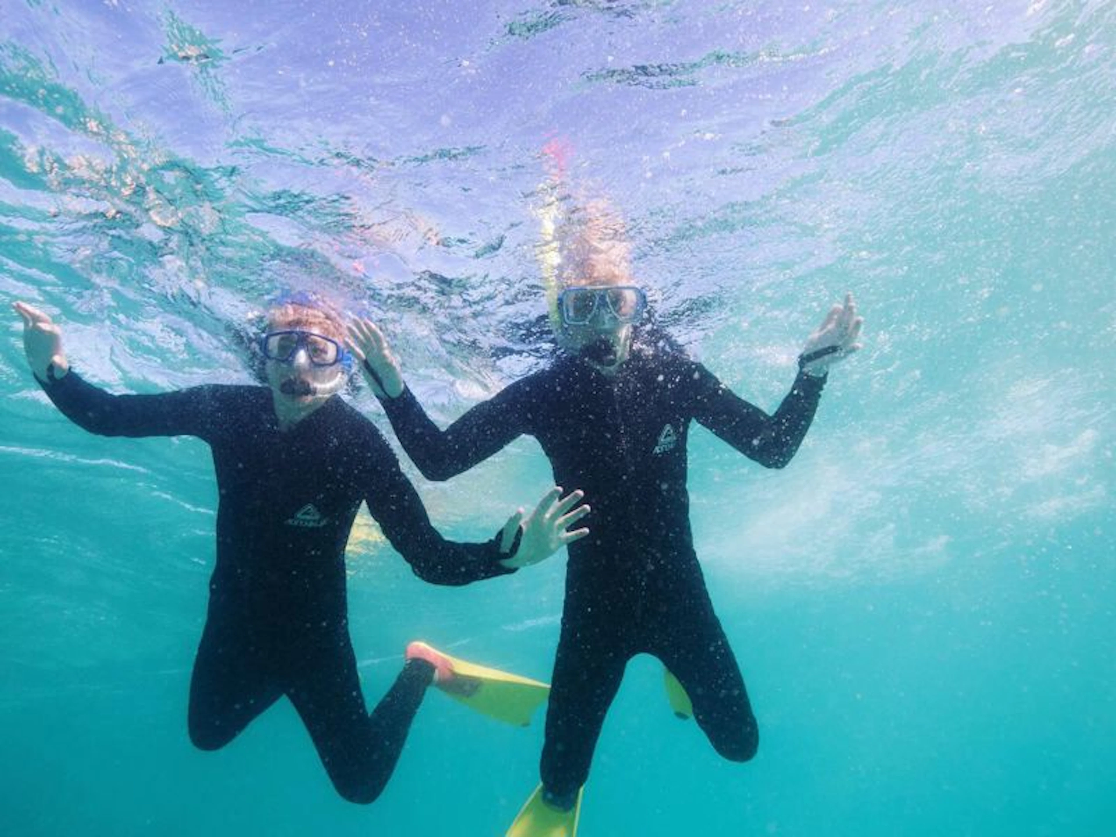 Cape Immersion Tours - Image 4