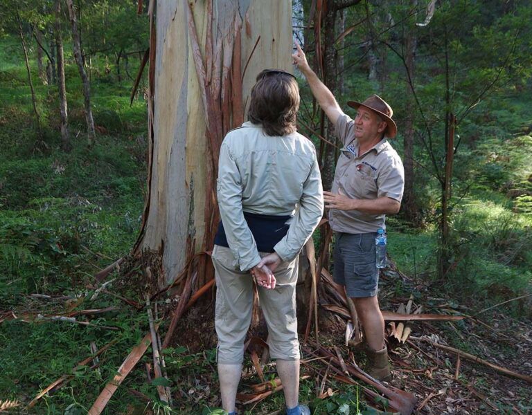 Chapman Tours - Image 3