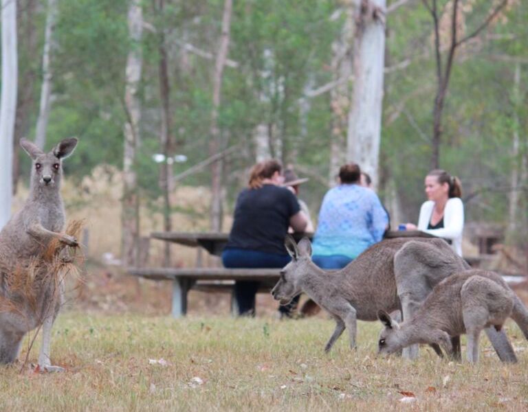 Chapman Tours - Image 4