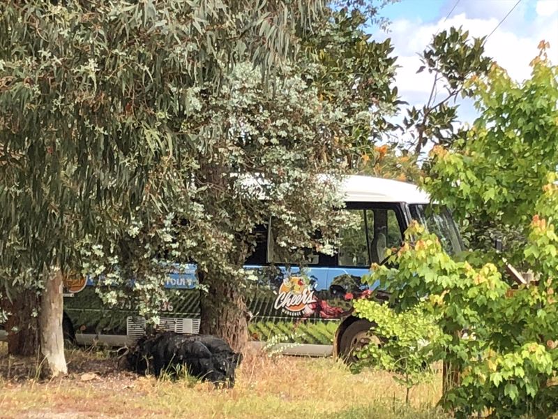 Cheers Winery & Scenic Tours