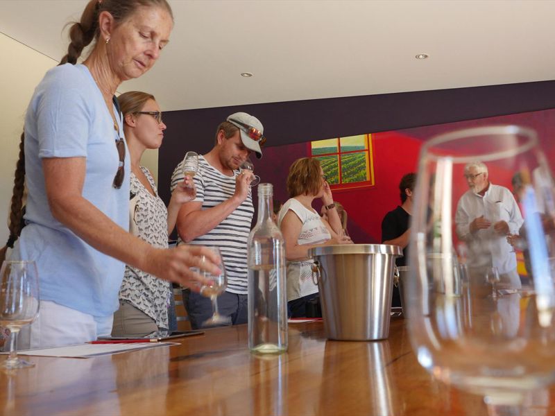 Cheers Winery & Scenic Tours - Image 4