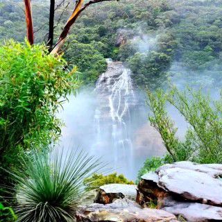 Coast Warriors Pty Ltd - Image 5