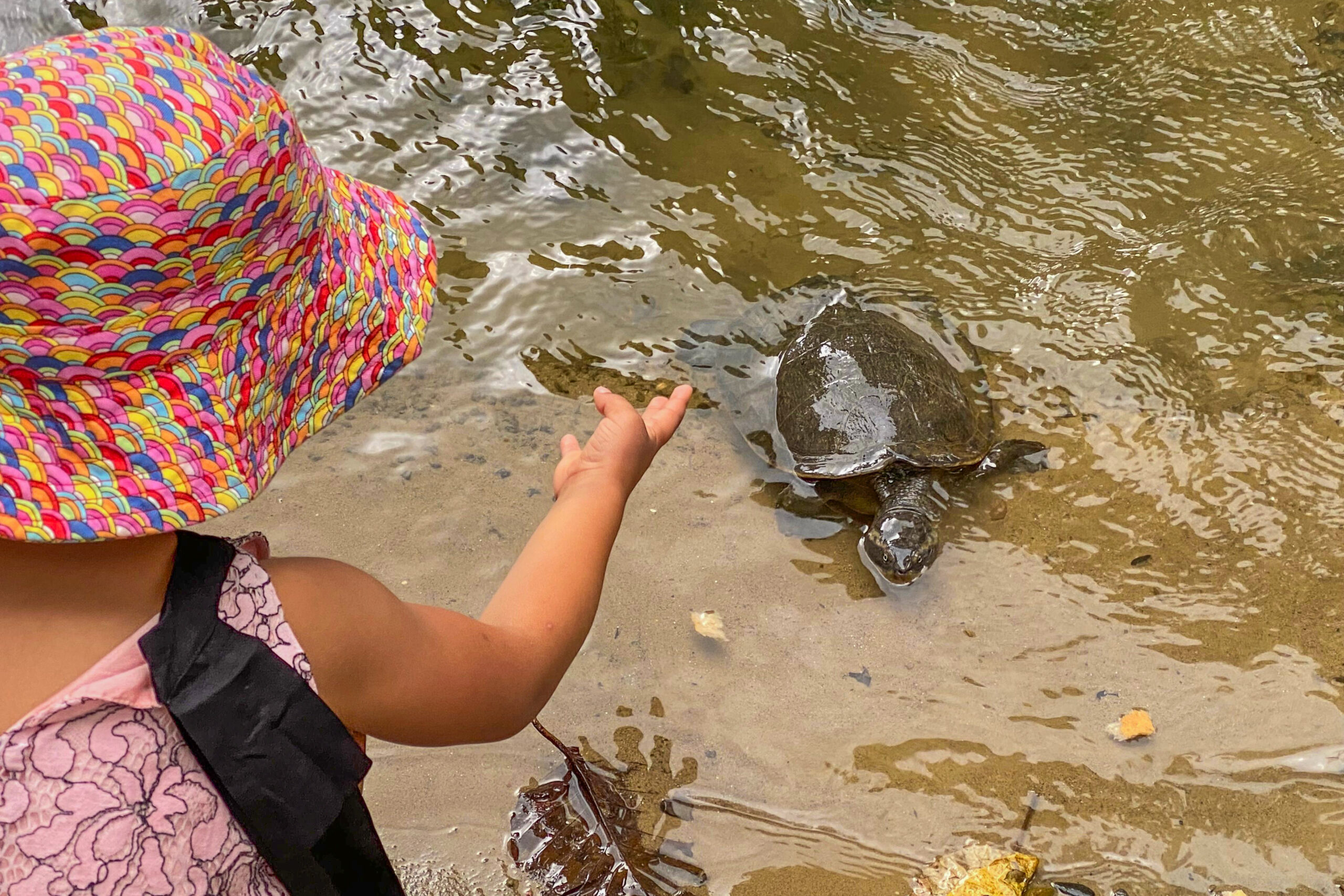 Cool Waters Holiday Park - Image 5