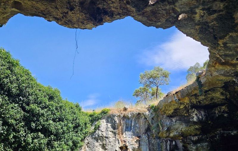 Coonawarra Experiences - Image 3