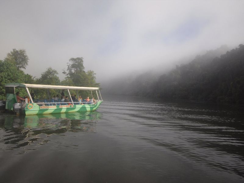 Crocodile Express Daintree River Cruises