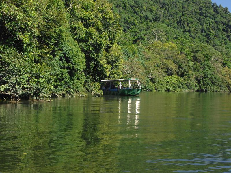 Crocodile Express Daintree River Cruises - Image 2