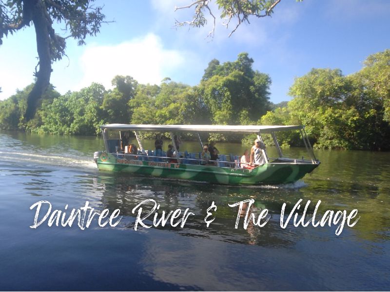 Crocodile Express Daintree River Cruises - Image 4