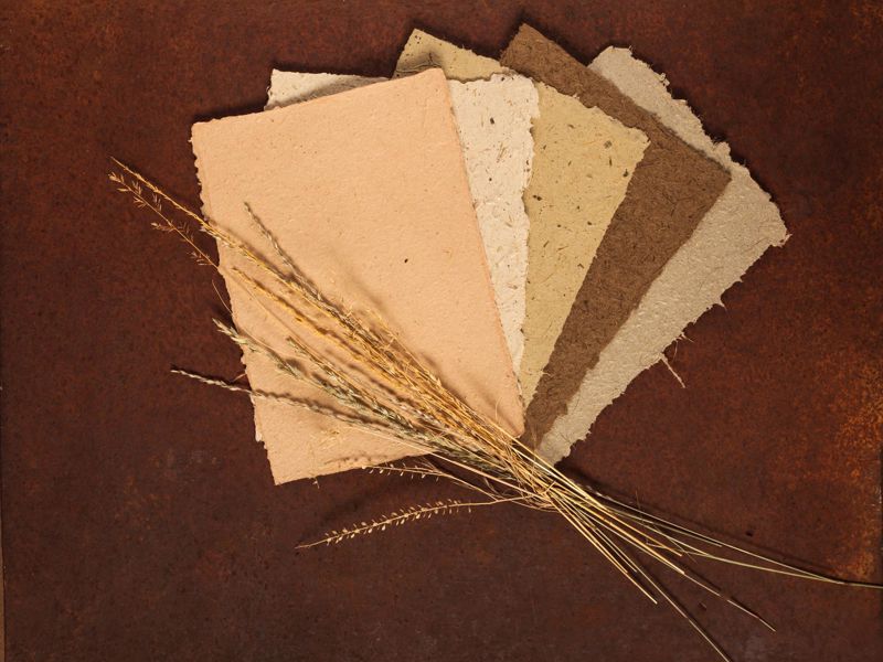 Curtin Springs Paper Tours - Image 3