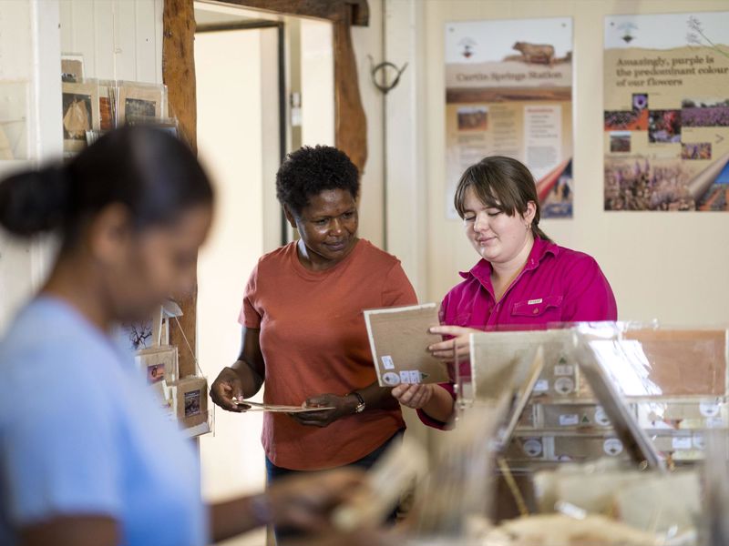 Curtin Springs Paper Tours - Image 4