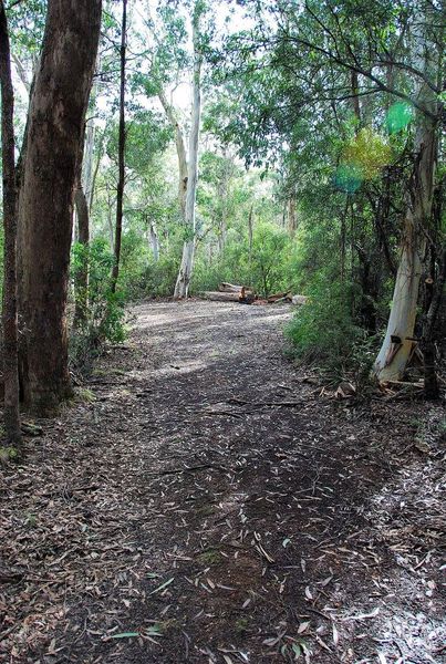 Delegate River Camping Area