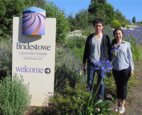 Discover Tasmania Tours