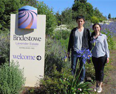 Discover Tasmania Tours