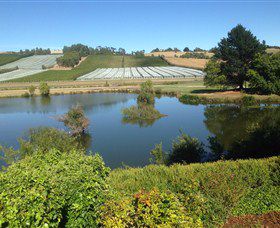 Discover Tasmania Tours - Image 3