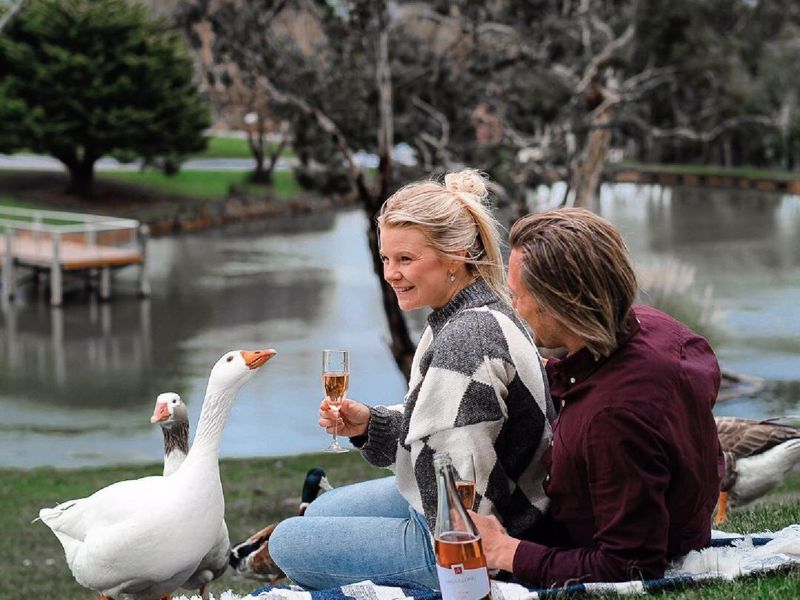 Discovery Hahndorf Resort - Image 3