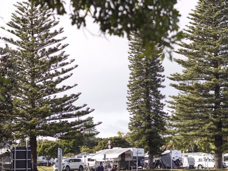 Discovery Parks Forster - Image 3