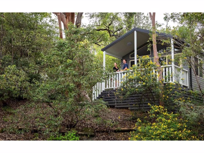 Discovery Parks Lane Cove Holiday and Caravan Park in Northern Rivers — photo 5