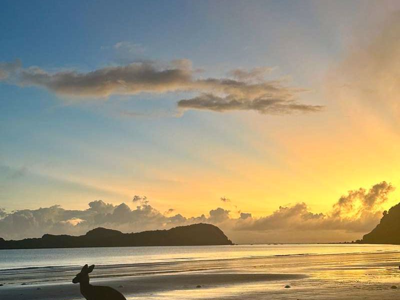 Discovery Parks Mackay - Image 2