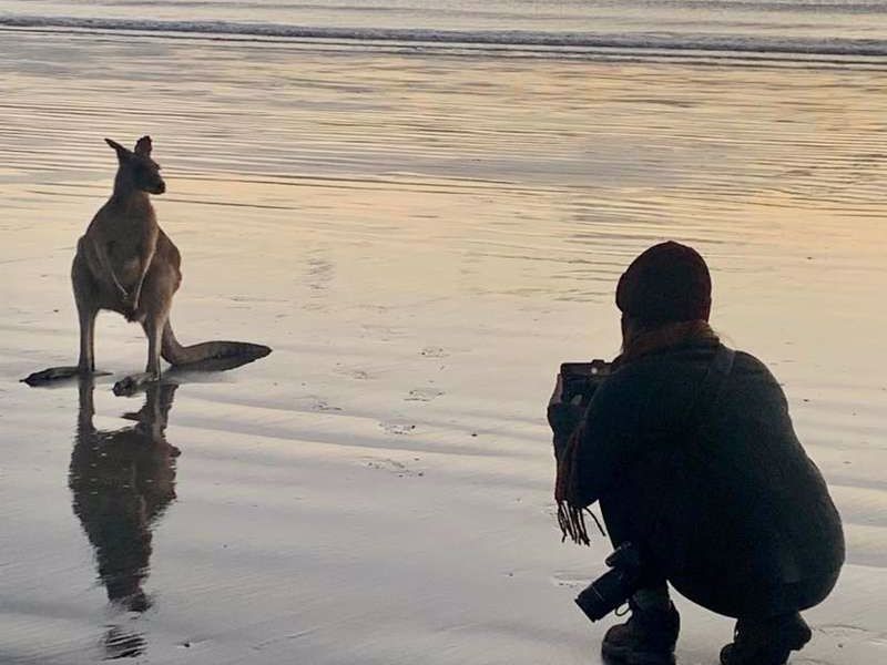 Discovery Parks Mackay - Image 3
