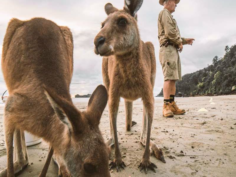 Discovery Parks Mackay - Image 4