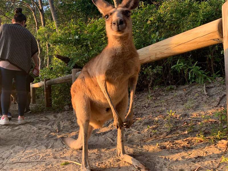 Discovery Parks Mackay - Image 5