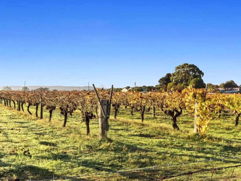 Discovery Parks Swan Valley