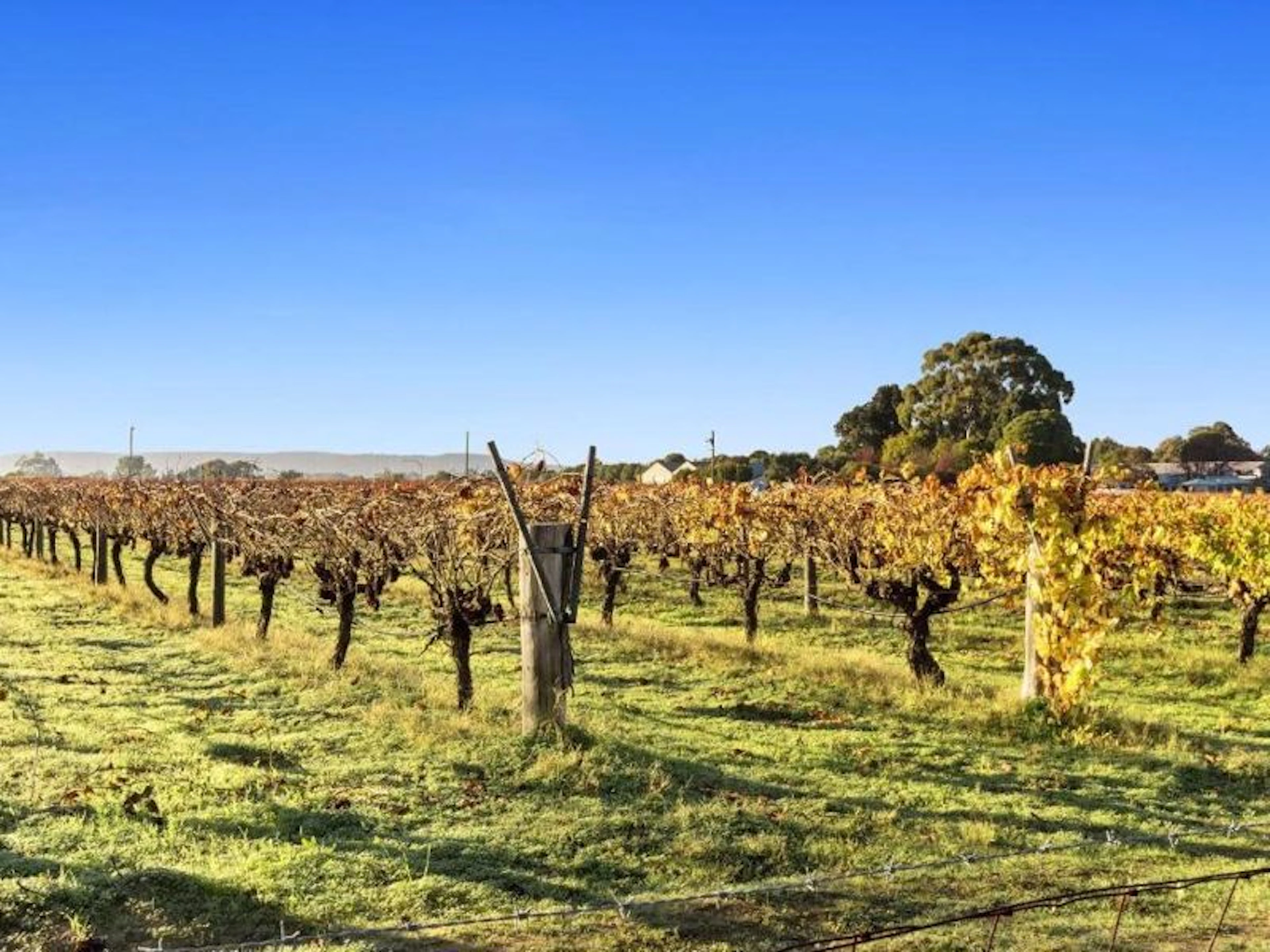 Discovery Parks Swan Valley