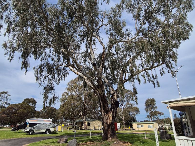 Eagle Point Caravan Park