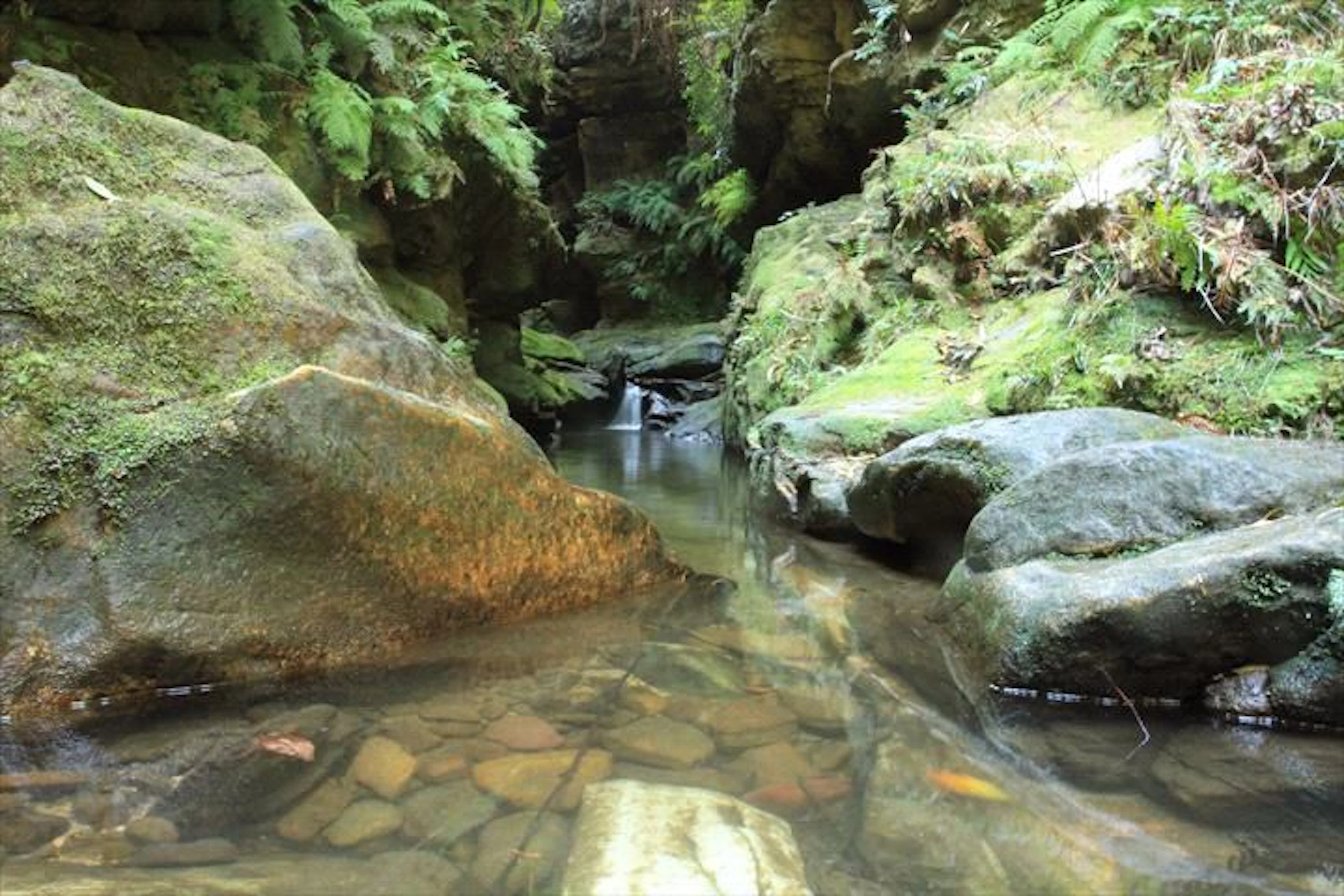 Eagle Rock Adventures (Sydney Canyon Adventures Pty Ltd) - Image 4