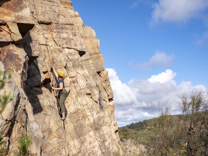 Earth Adventure - Main image