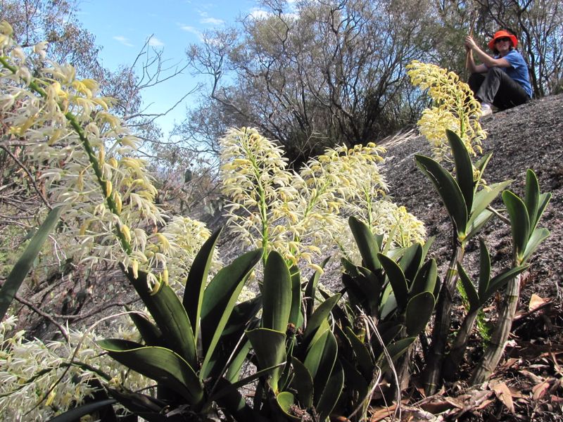 Earth and Soul Retreat - Image 3