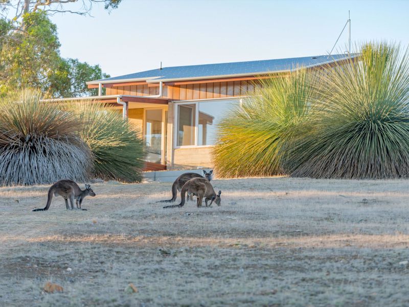 Ecopia Retreat - Image 4