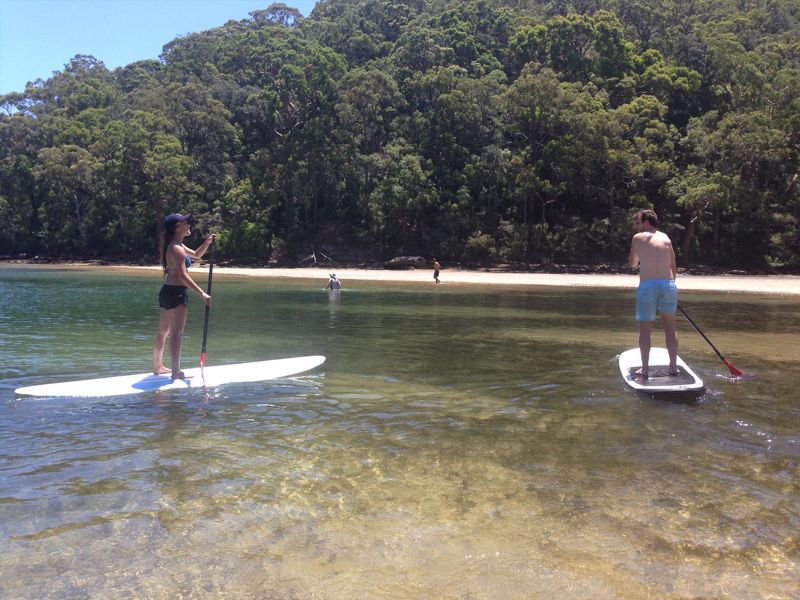 EcoTreasures - Image 4