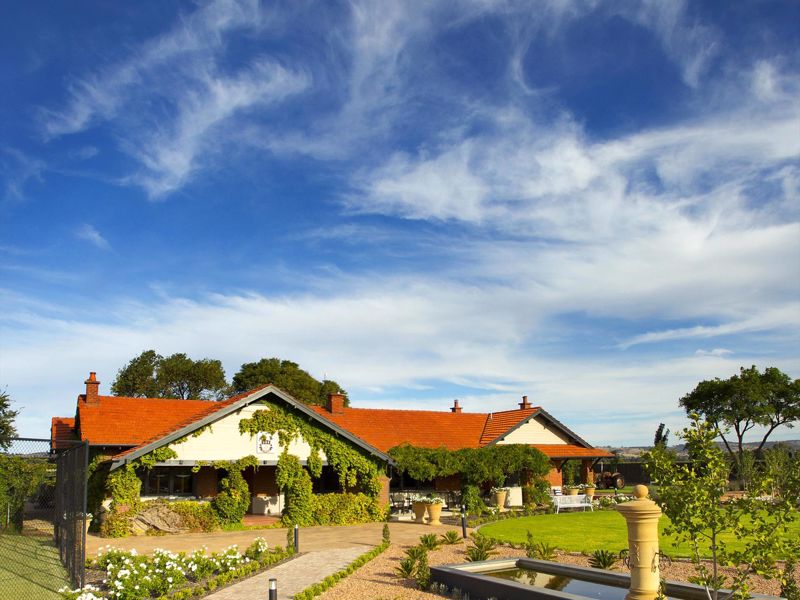 Elderton Wines - Image 2