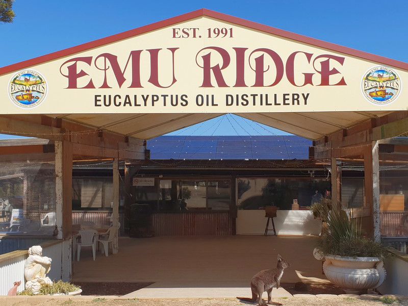 Emu Ridge Eucalyptus Distillery