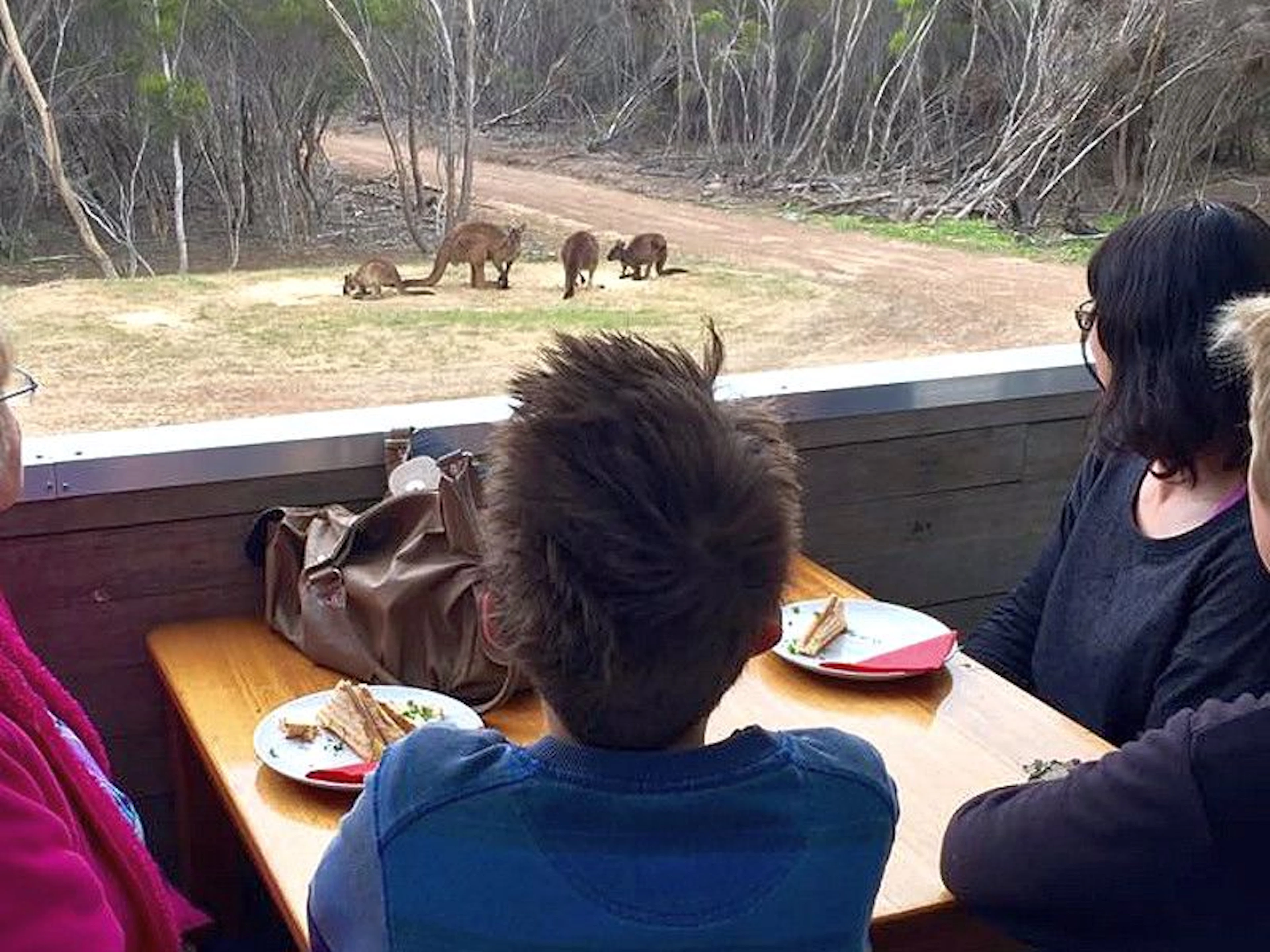 Emu Ridge Eucalyptus Distillery - Image 5