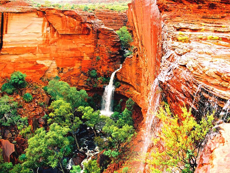 Emu Run Experience - Main image