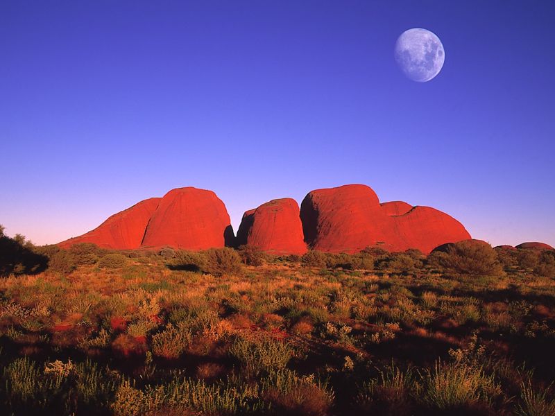 Emu Run Experience - Image 2