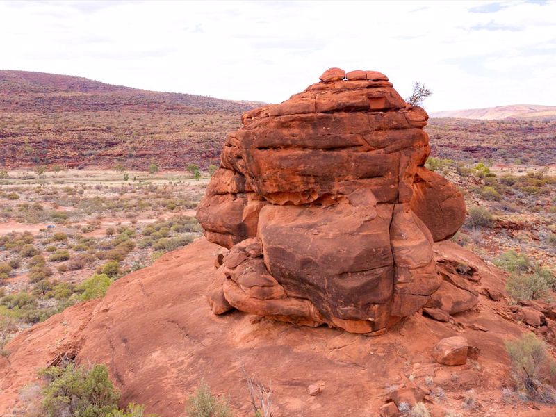 Emu Run Experience - Image 3