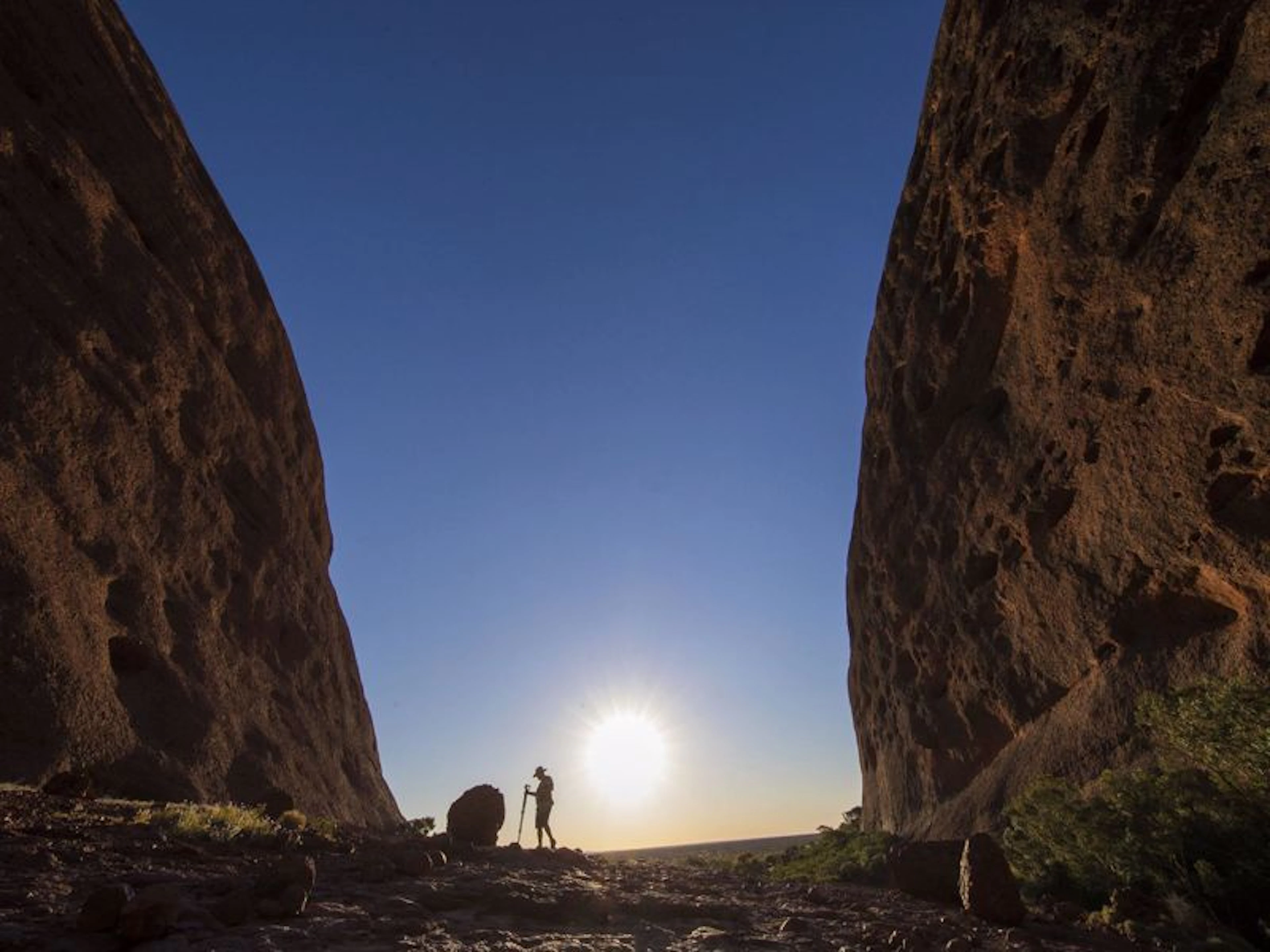 Emu Run Experience - Image 4