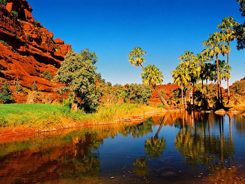 Emu Run Experience - Image 5