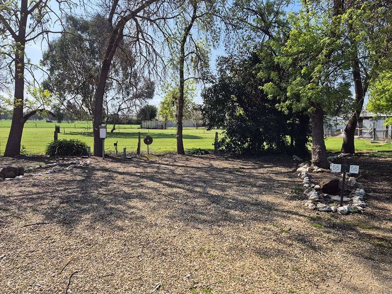 Everton Caravan Park - Image 2