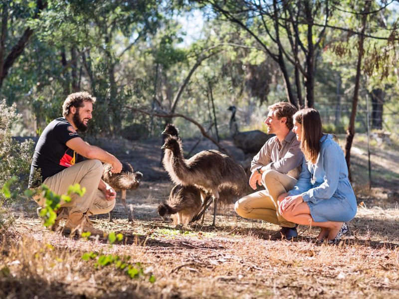 Explore Australia Tours