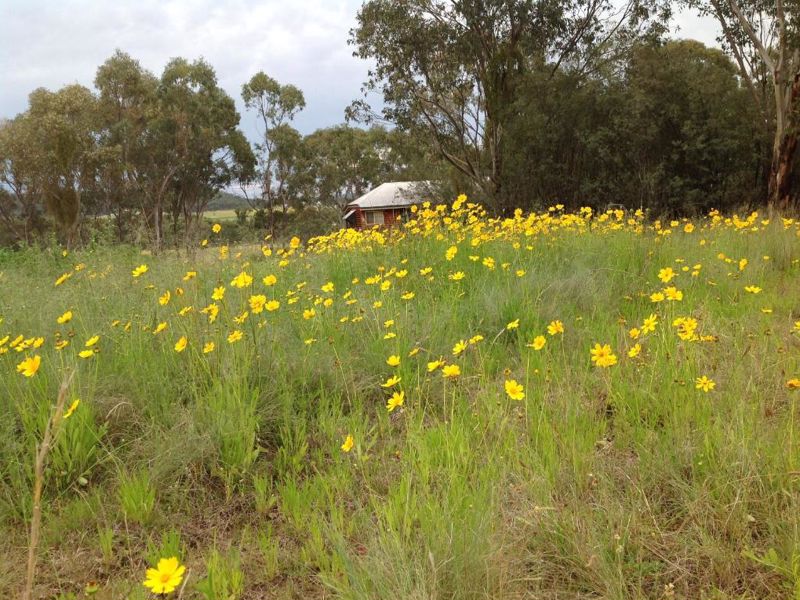 Fergies Hill Cottage - Image 2