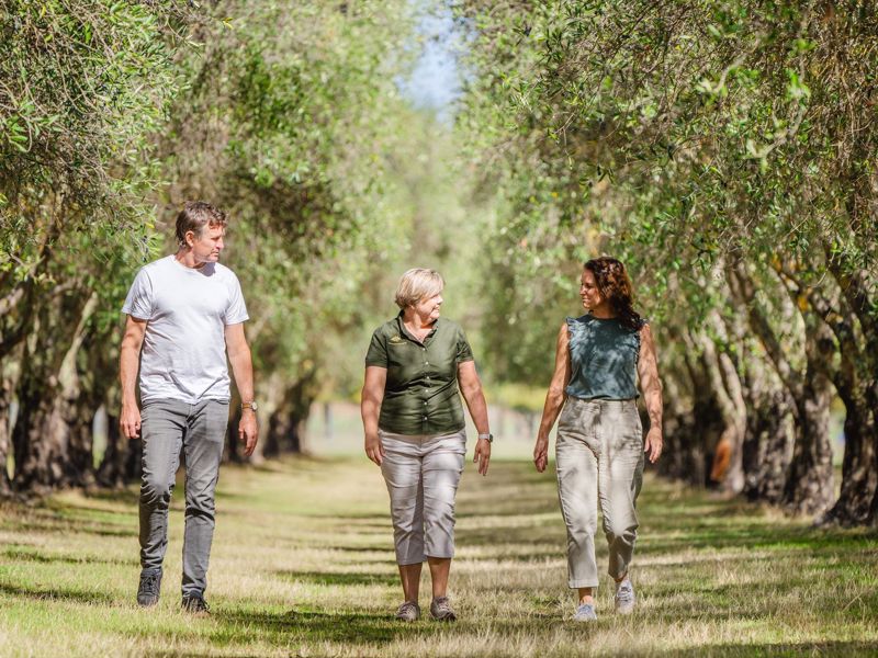 Forage Safaris - Main image