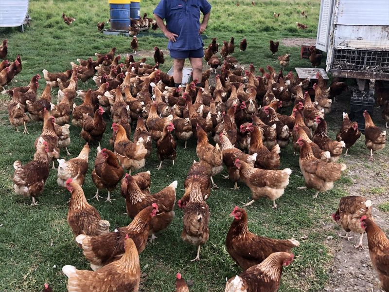 Forage Safaris - Image 5