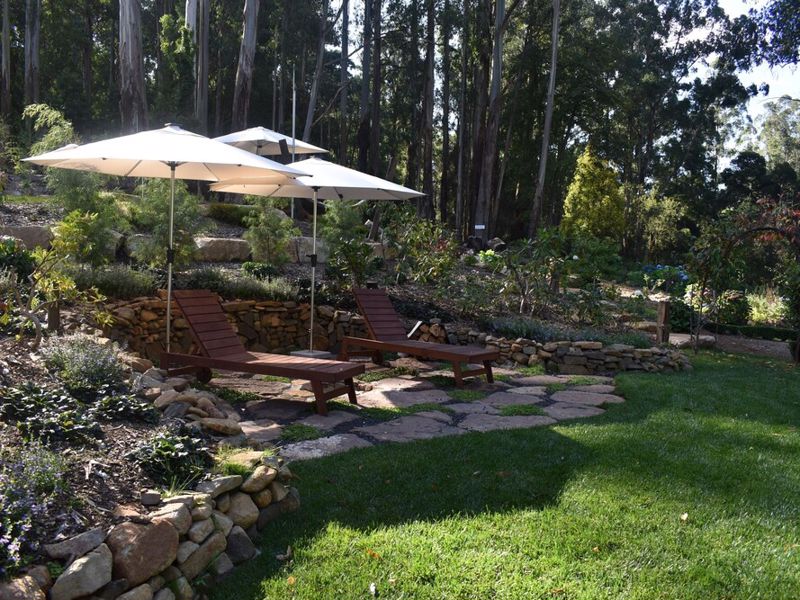 Forest Edge Merrow - Image 3